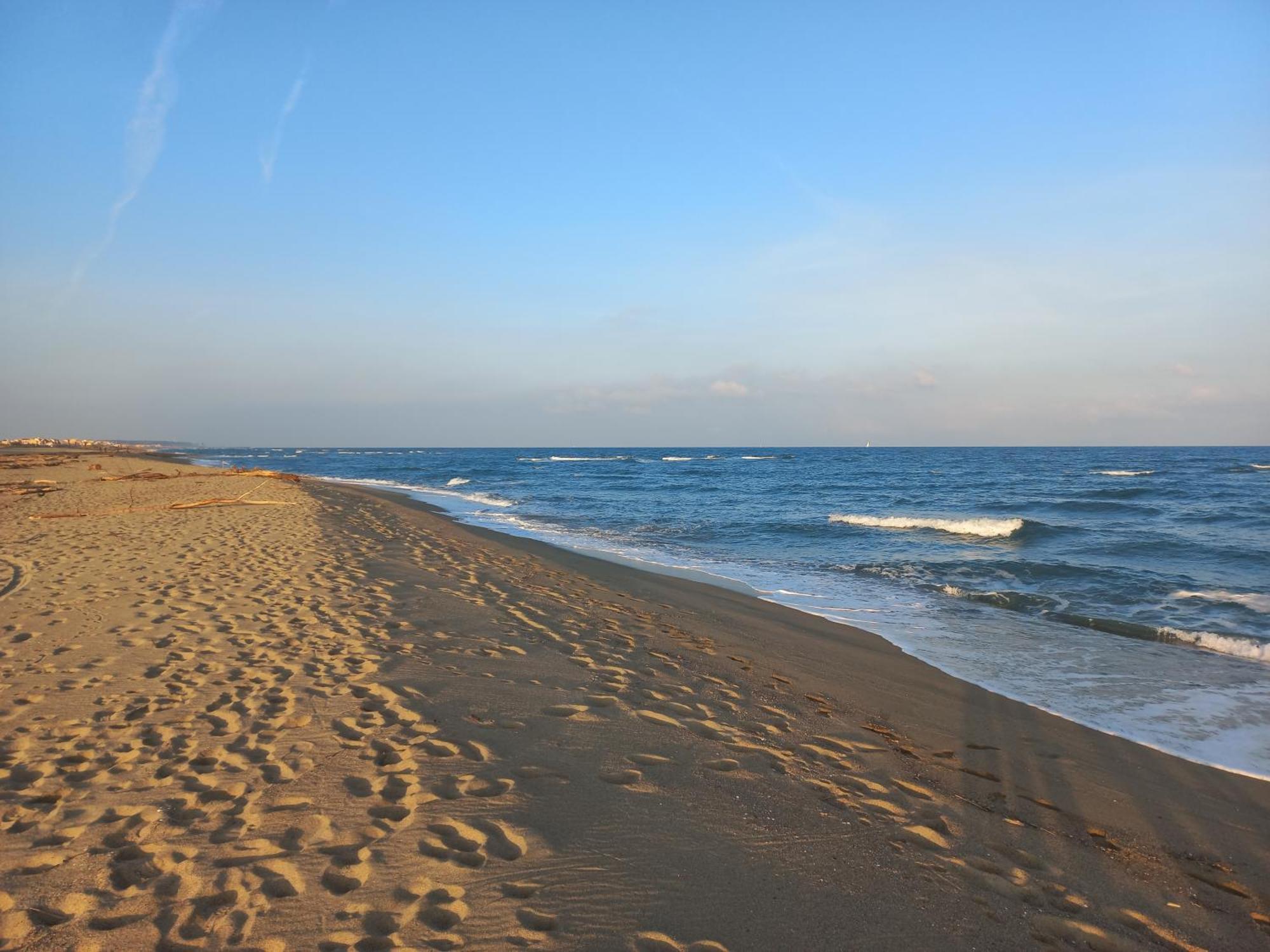 Coquet Studio 4 Pers, Piscine,Clim Mobile, Plage A 300 M,A 5Min A Pied Du Lydia Ле Баркарес Экстерьер фото
